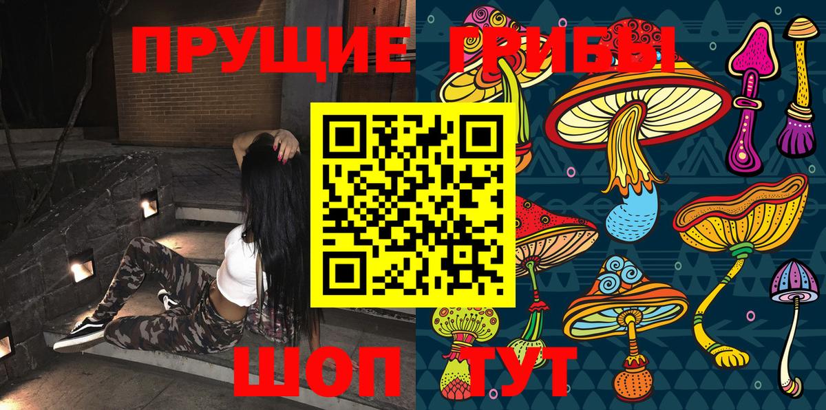 Шадринск  Галлюциногенные грибы мухоморы  Галлюциногенные грибы прущие грибы  Вход с VPN 